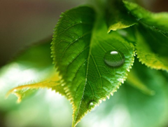 5be923ef5807f.png 5be923ef5807f.png