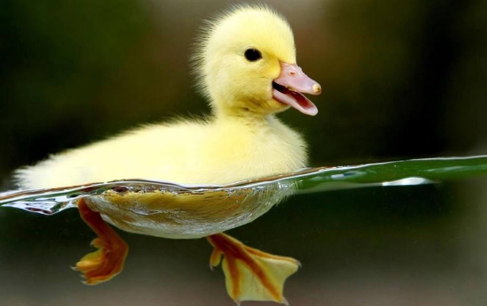 5c0c6e3037c6b.png 5c0c6e3037c6b.png