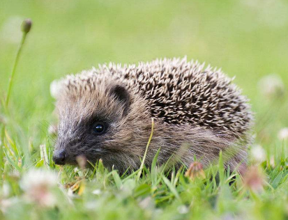 5c0f1498f2b24.png 5c0f1498f2b24.png