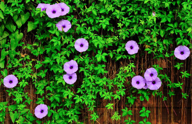 5c0f8845ae082.png 5c0f8845ae082.png