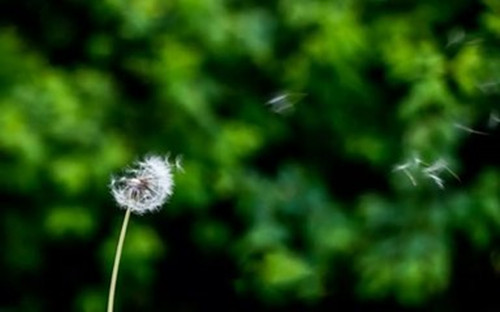 5c1e2076d9d42.jpg 5c1e2076d9d42.jpg