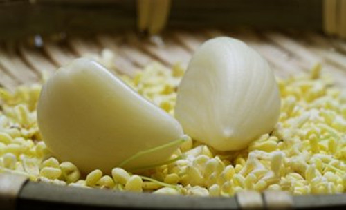 5c38873fdda4b.jpg 5c38873fdda4b.jpg