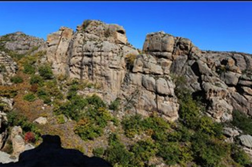 5c38886c91597.jpg 5c38886c91597.jpg