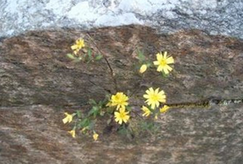 5c388e7e22b92.jpg 5c388e7e22b92.jpg