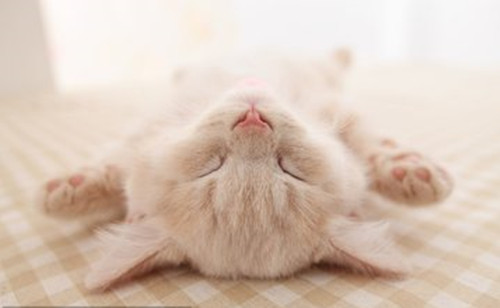 5c3895a2e1754.jpg 5c3895a2e1754.jpg