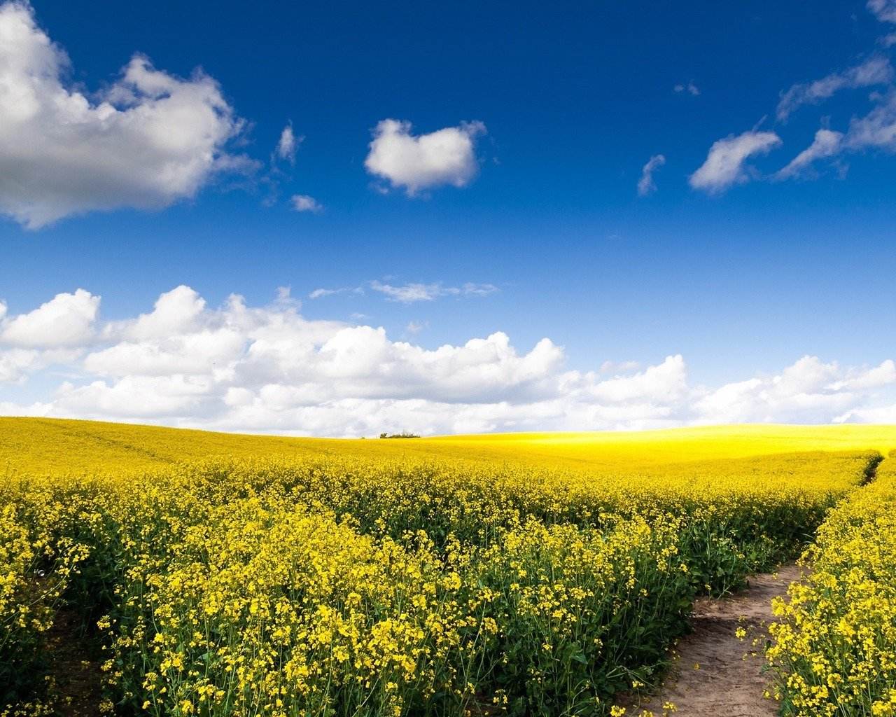 5c4bbe526b773.jpg 5c4bbe526b773.jpg