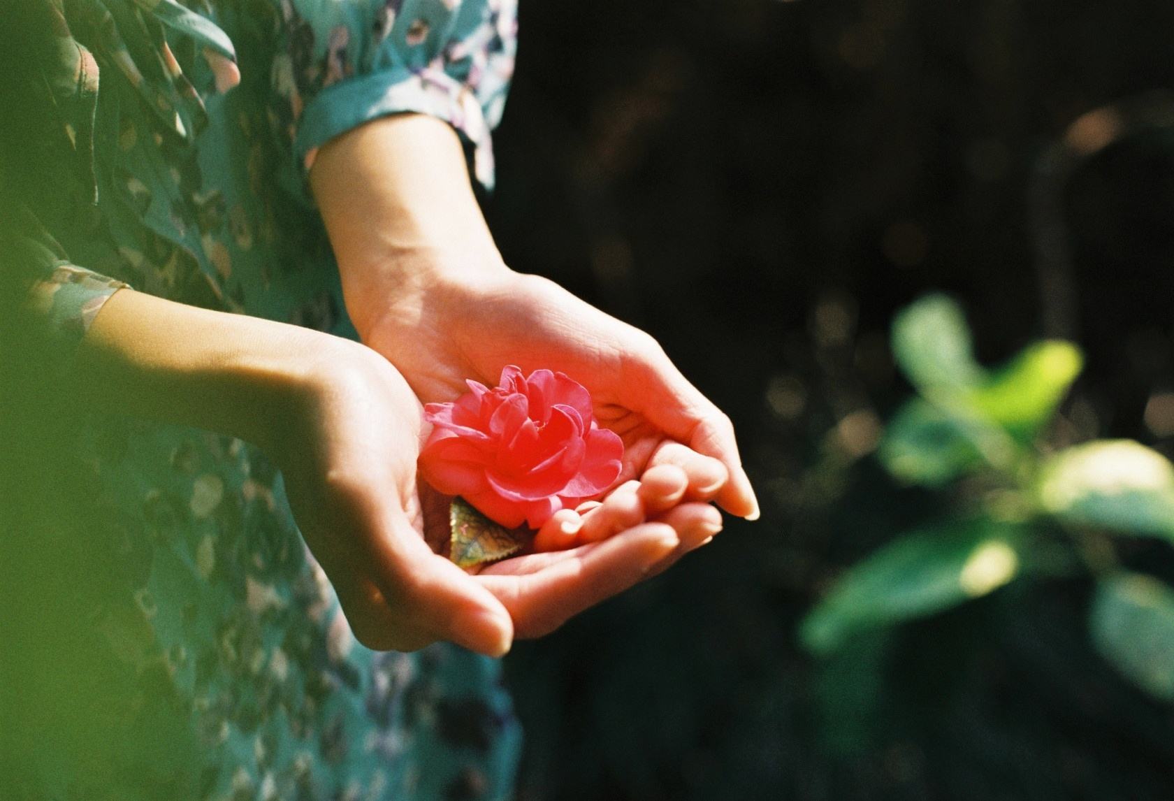 5c61379436431.jpg 5c61379436431.jpg