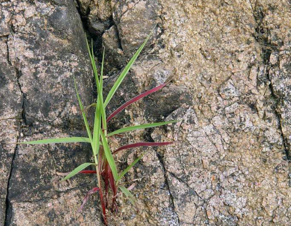 5c623832a185a.png 5c623832a185a.png