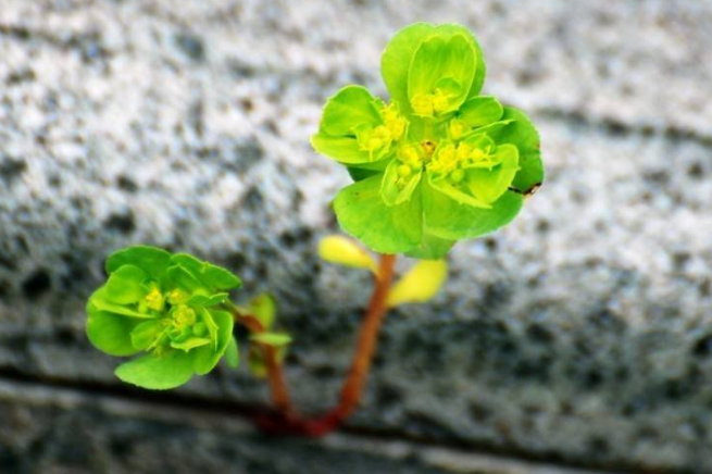 5c651769386b4.png 5c651769386b4.png