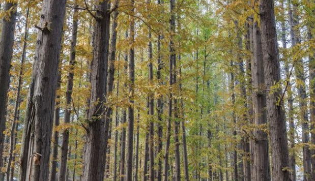 5c651a2250f18.png 5c651a2250f18.png