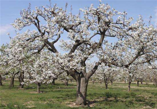 5c7dc934f40c5.jpg 5c7dc934f40c5.jpg