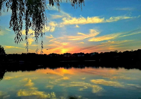 5c7f239e3f0e9.jpg 5c7f239e3f0e9.jpg