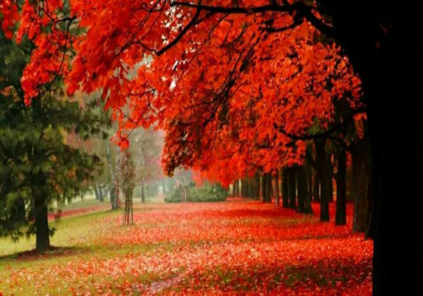 5c86107f6010c.jpg 5c86107f6010c.jpg