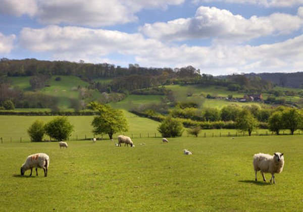 5c8615005a72f.jpg 5c8615005a72f.jpg