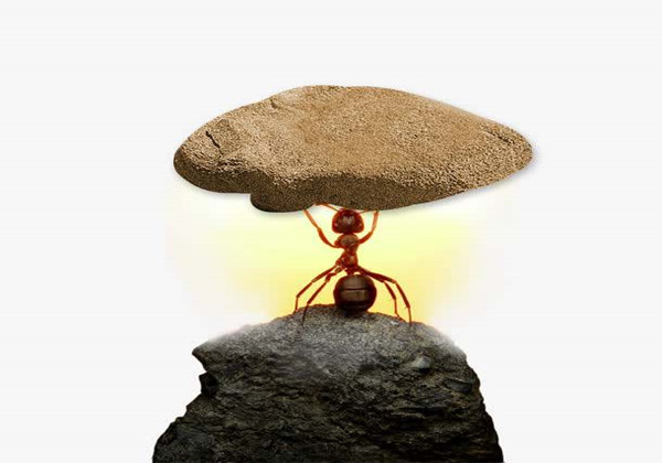 5c87571bc92f1.jpg 5c87571bc92f1.jpg