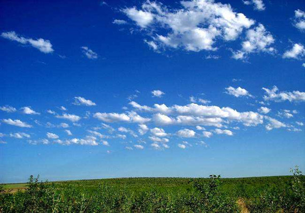 5c8f00ca1c164.jpg 5c8f00ca1c164.jpg