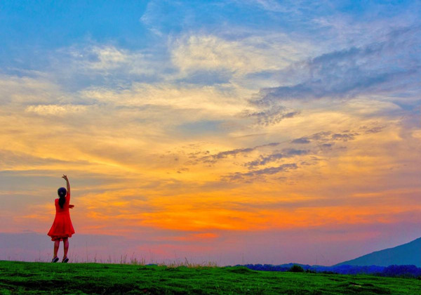 5c8f0604553de.jpg 5c8f0604553de.jpg