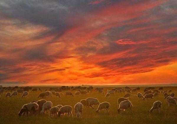 5c8f0c7e65de0.jpg 5c8f0c7e65de0.jpg