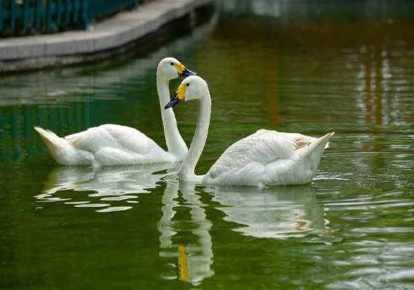 5c9044d3a2d58.jpg 5c9044d3a2d58.jpg