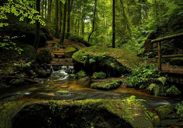 5c904855dd754.jpg 5c904855dd754.jpg