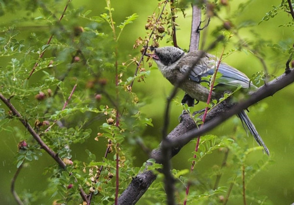 5c998e59d7a39.jpg 5c998e59d7a39.jpg