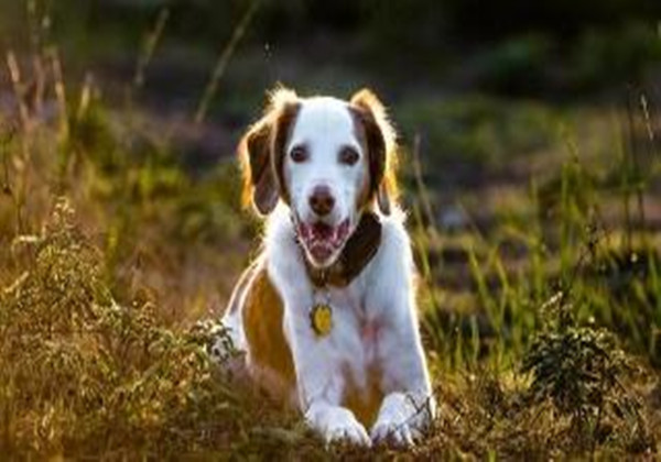 5ca1b6bd5b909.jpg 5ca1b6bd5b909.jpg