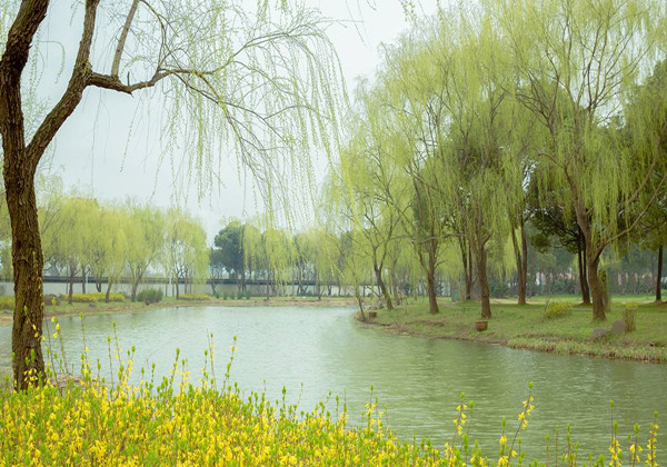 5ca1b87d5b909.jpg 5ca1b87d5b909.jpg