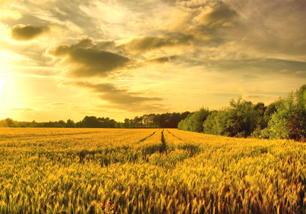 5ca1bb6e9ca19.jpg 5ca1bb6e9ca19.jpg