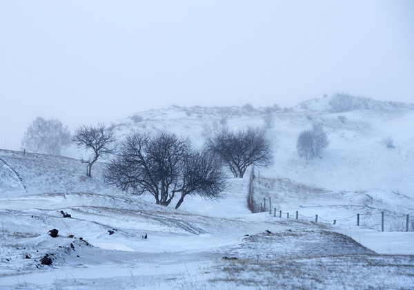 5ca1bd5b3296d.jpg 5ca1bd5b3296d.jpg