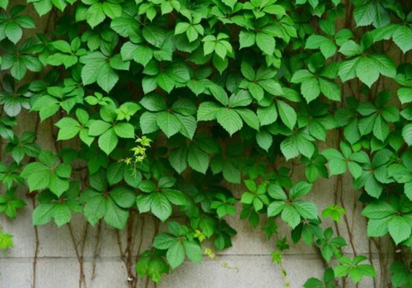 5ca1bf52c0851.jpg 5ca1bf52c0851.jpg