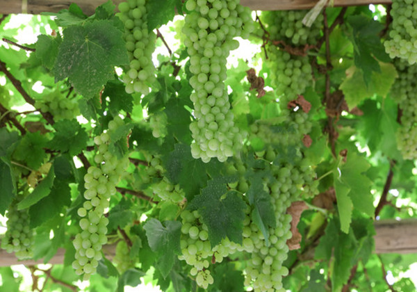 5ca2af982ef04.jpg 5ca2af982ef04.jpg