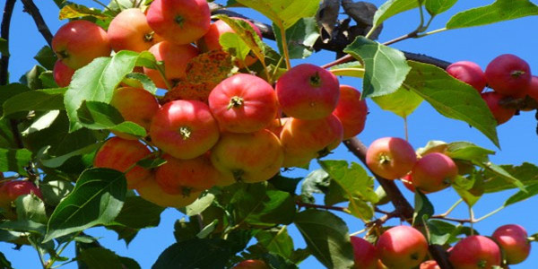 5ca2b0139d909.jpg 5ca2b0139d909.jpg