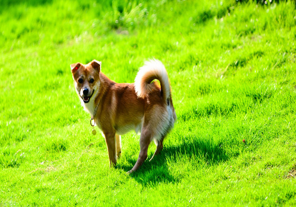 5ca306df5b345.jpg 5ca306df5b345.jpg