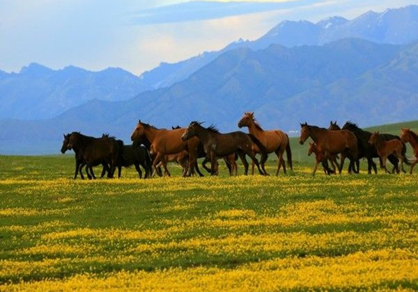 5cac3f10e6d34.jpg 5cac3f10e6d34.jpg