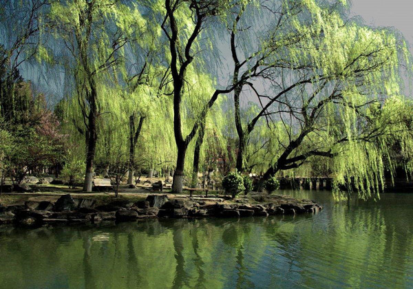 5cac50ab419e9.jpg 5cac50ab419e9.jpg