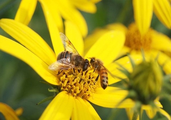 5cb82fa33cc69.jpg 5cb82fa33cc69.jpg