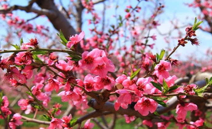 5cbd74f4cc8e0.jpg 5cbd74f4cc8e0.jpg