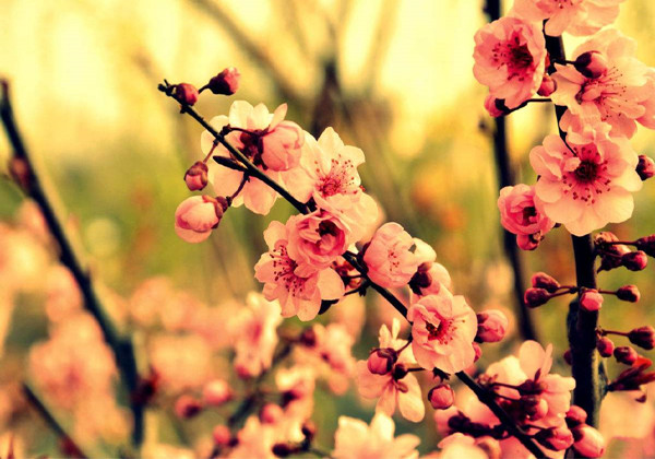 5cbebc7111a27.jpg 5cbebc7111a27.jpg