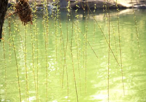 5cc647bb1744b.jpg 5cc647bb1744b.jpg