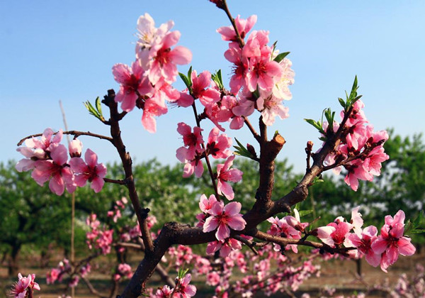 5cc649bb0bd30.jpg 5cc649bb0bd30.jpg