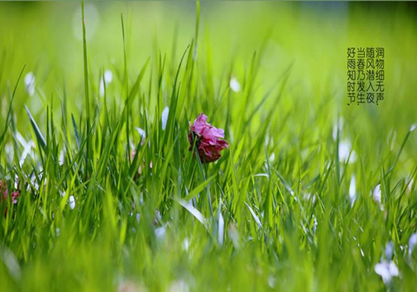 5cc64de976a2c.jpg 5cc64de976a2c.jpg