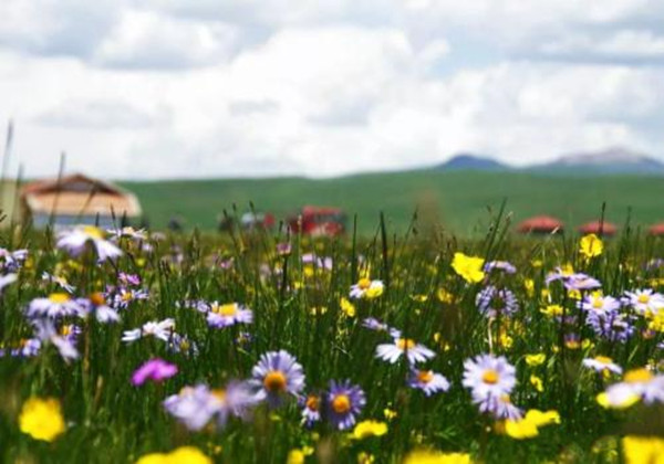 5cc7b3940bd30.jpg 5cc7b3940bd30.jpg