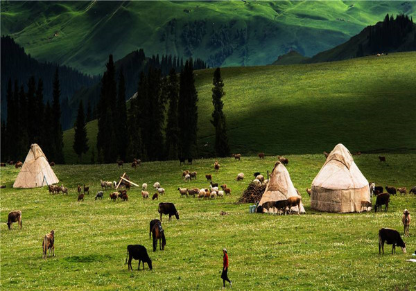 5cc7b56c0fa39.jpg 5cc7b56c0fa39.jpg