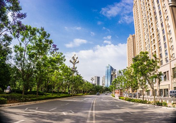 5cce4ae90bd30.jpg 5cce4ae90bd30.jpg