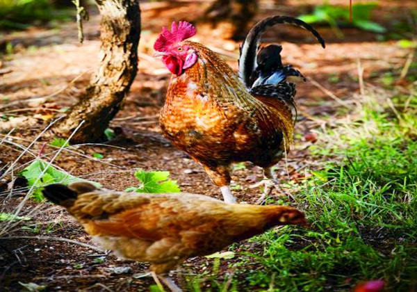 5cce4d1c2686f.jpg 5cce4d1c2686f.jpg