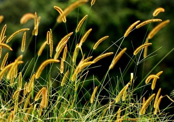 5cce559208027.jpg 5cce559208027.jpg