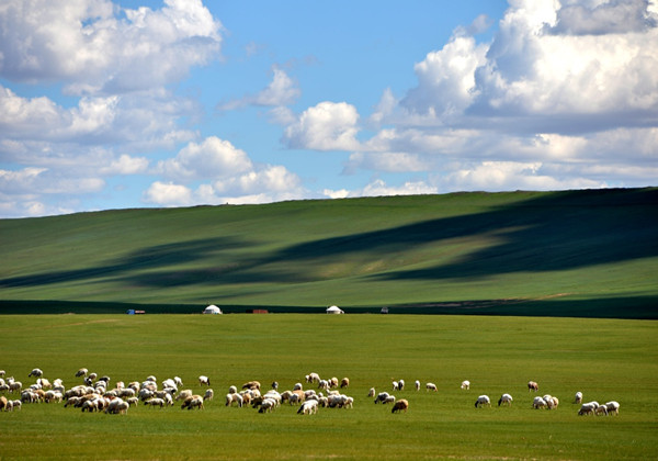 5ccf91dce1728.jpg 5ccf91dce1728.jpg