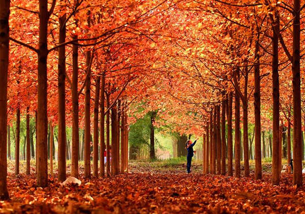 5cda1b22ca27e.jpg 5cda1b22ca27e.jpg