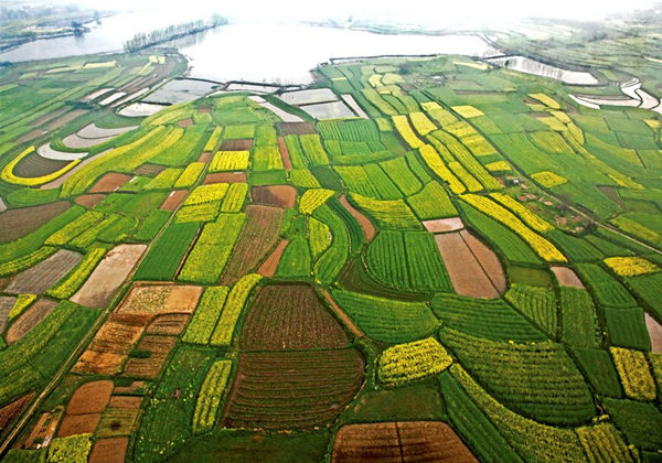 5cda269916dd7.jpg 5cda269916dd7.jpg