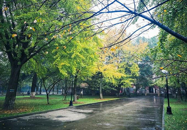 5cdb6f84261fb.jpg 5cdb6f84261fb.jpg